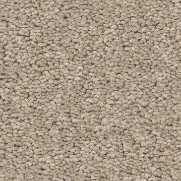 Philadelphia Champagne Taste II Carpet in Chic Greige, , large