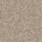 Philadelphia Champagne Taste II Carpet in Chic Greige, , large