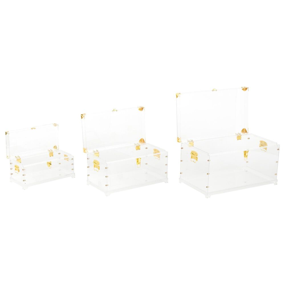 Maple and Jade 3-Piece Storage Decorative Trunk Set in Clear, , large