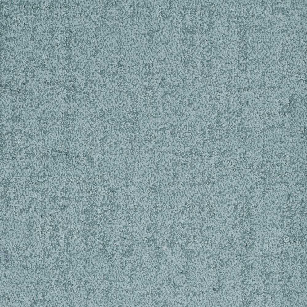 Dixie Home Genuine Carpet in Proven, , large