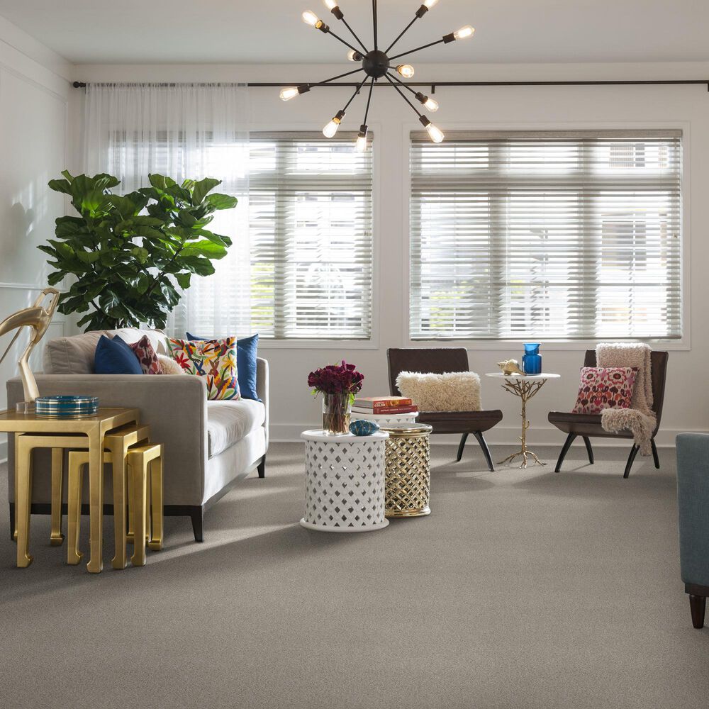 Philadelphia Caress Cozy Harbor II Carpet in Thoughtful, , large