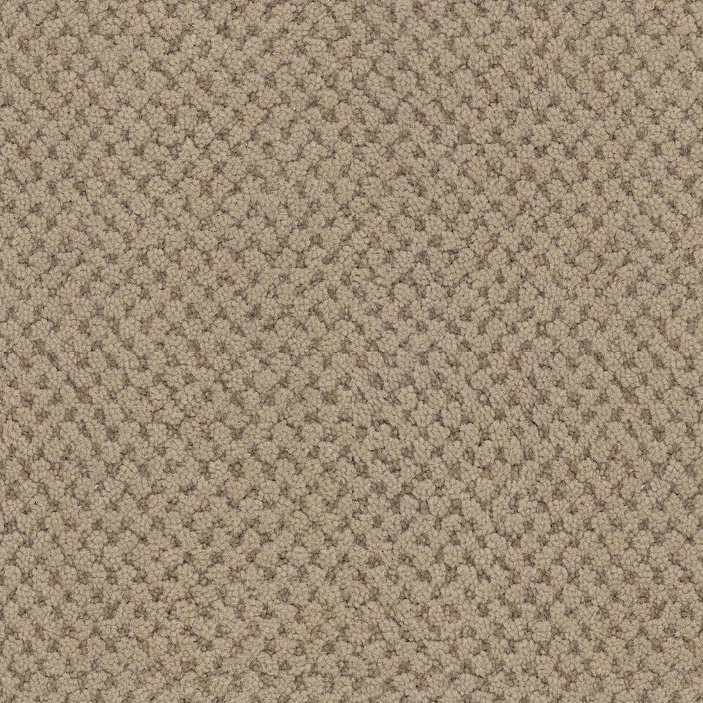 Masland Festivities Carpet in Bistre, , large