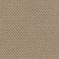 Masland Festivities Carpet in Bistre, , large
