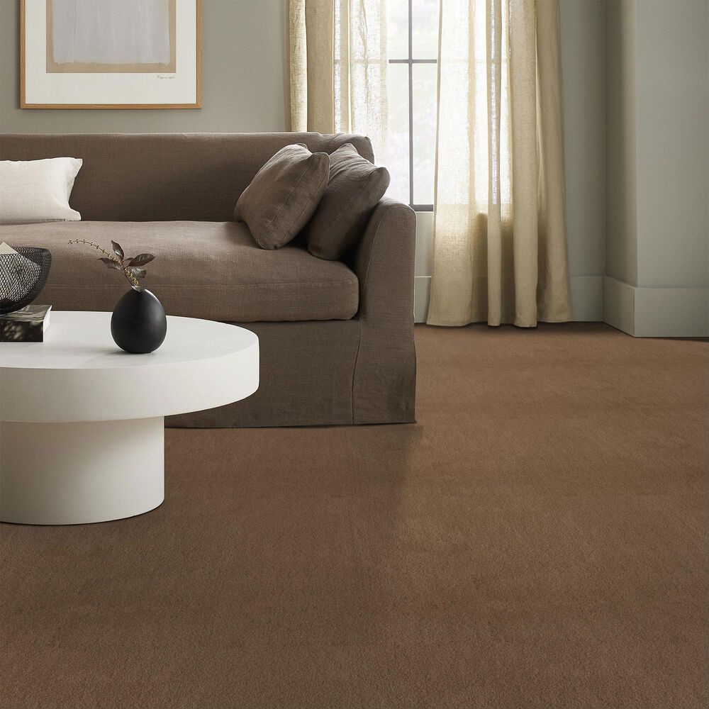 Anderson Tuftex Luxe Feel II Carpet in Dried Chamomile, , large