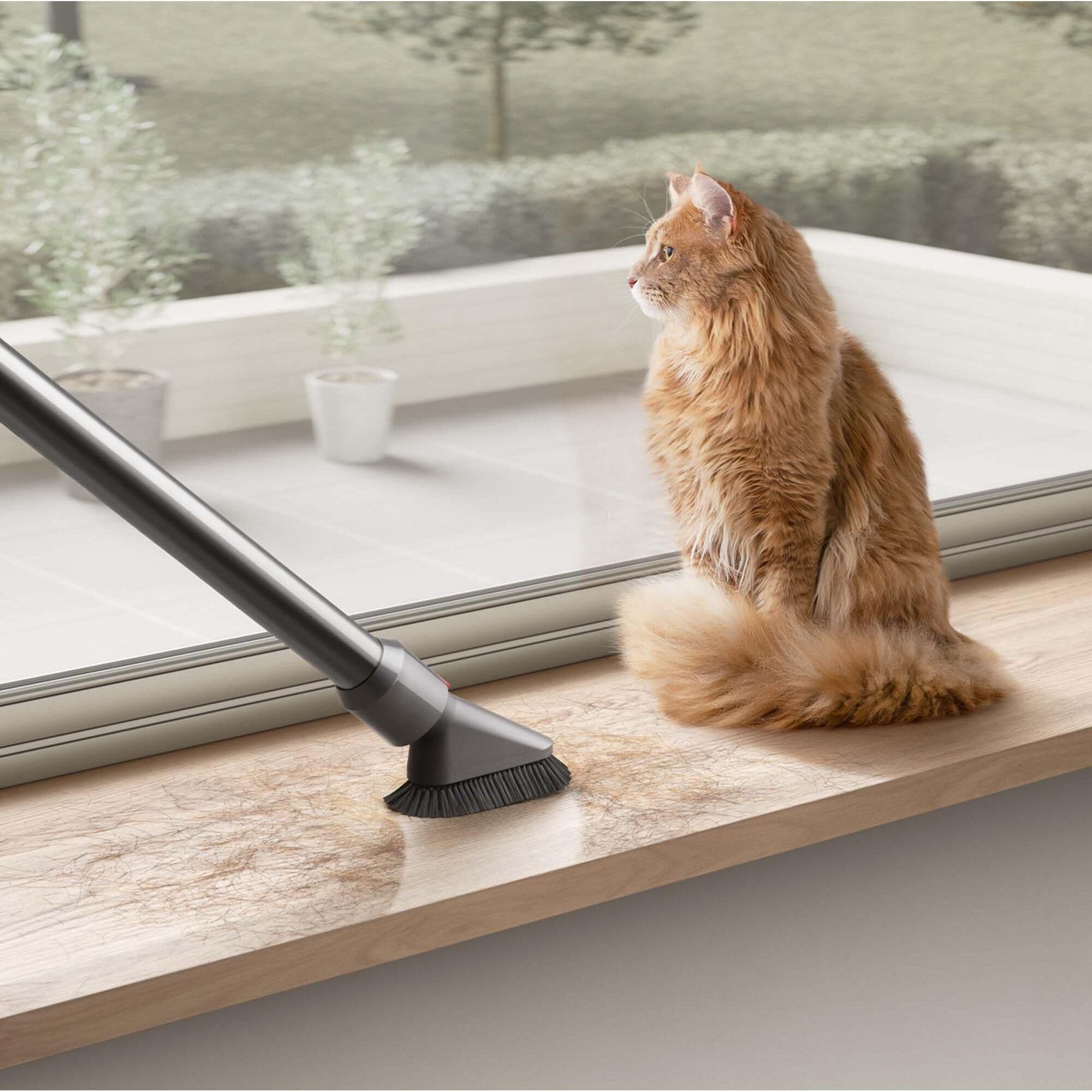 Dyson Cyclone V10 Animal Cordless Stick 