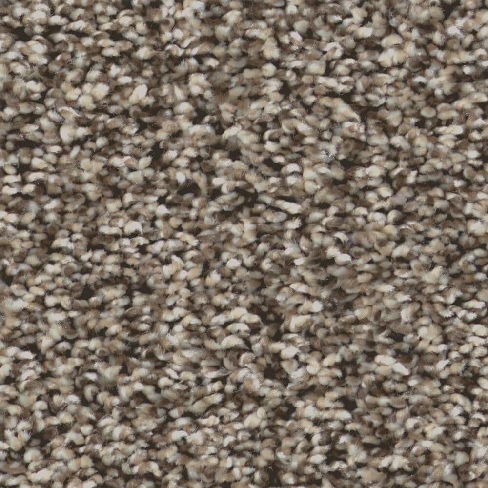 Shaw Bold Move Plus Carpet in Bit of Beige, , large