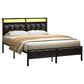 HOMLUX Full Upholstered Platform Bed with 12.6" Under-bed Storage in Black, , large