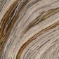 Surya Kavita 2"6" x 8" Charcoal, Dark Brown, Camel, Gray and Tan Runner, , large