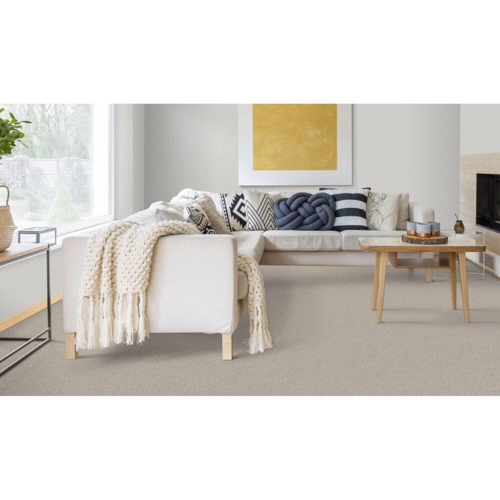 Dixie Home Devotion Carpet in Fog, , large