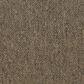 Shaw Capital III 24" x 24" Carpet Tile in Election, , large