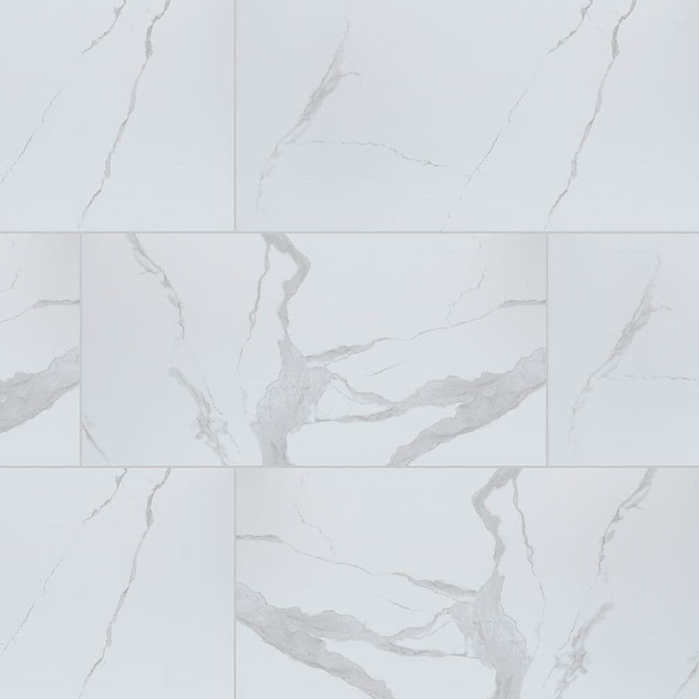 MS International Eden Statuary 24" x 48" Polished Porcelain Tile, , large