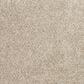 Mohawk Purrfect Home II Carpet in Crystalline, , large