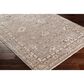 Surya Carlisle 3"11" x 5"11" Sage, Ivory, Pale Blue, Charcoal and Brown Area Rug, , large