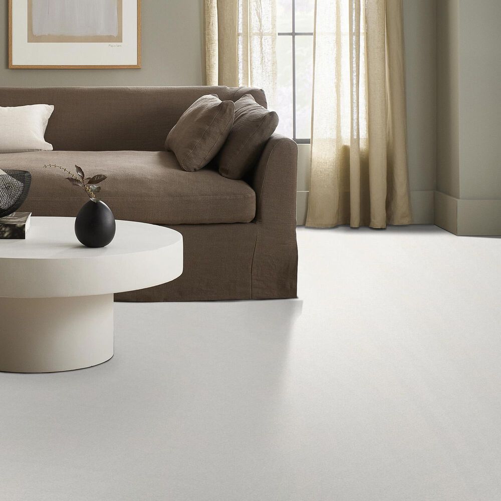 Shaw Tonal Comfort I Carpet in Gallery Opening, , large
