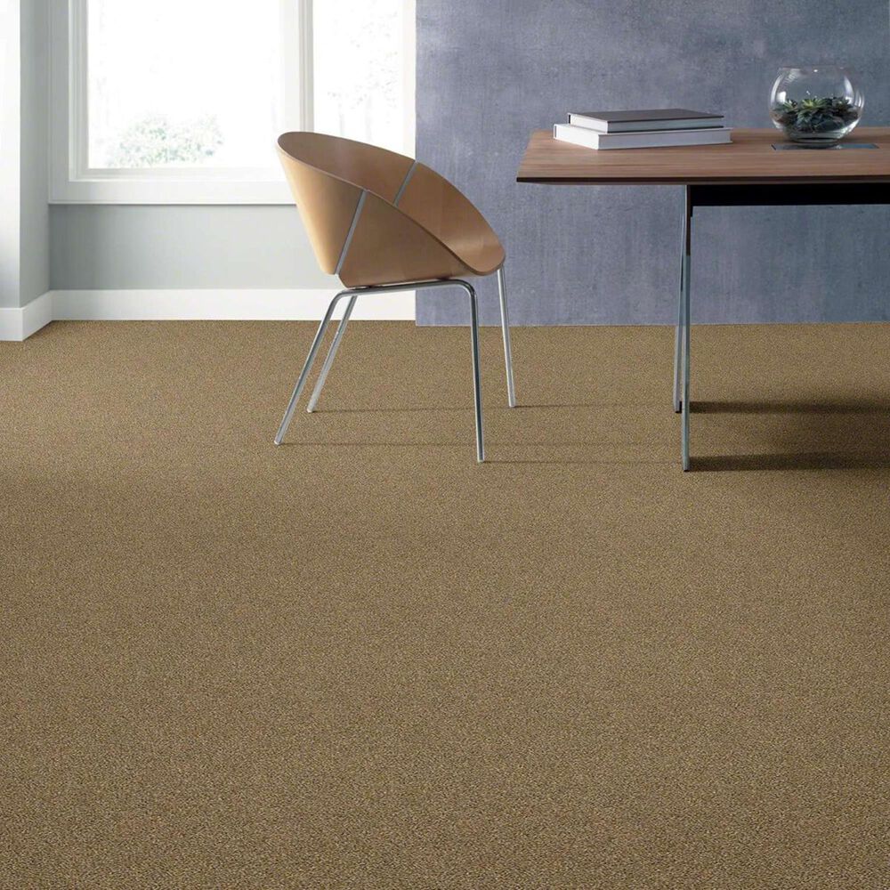 Shaw Acadia Park Carpet in Lodge, , large