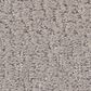 Shaw Studio Set Carpet in Sandstone, , large