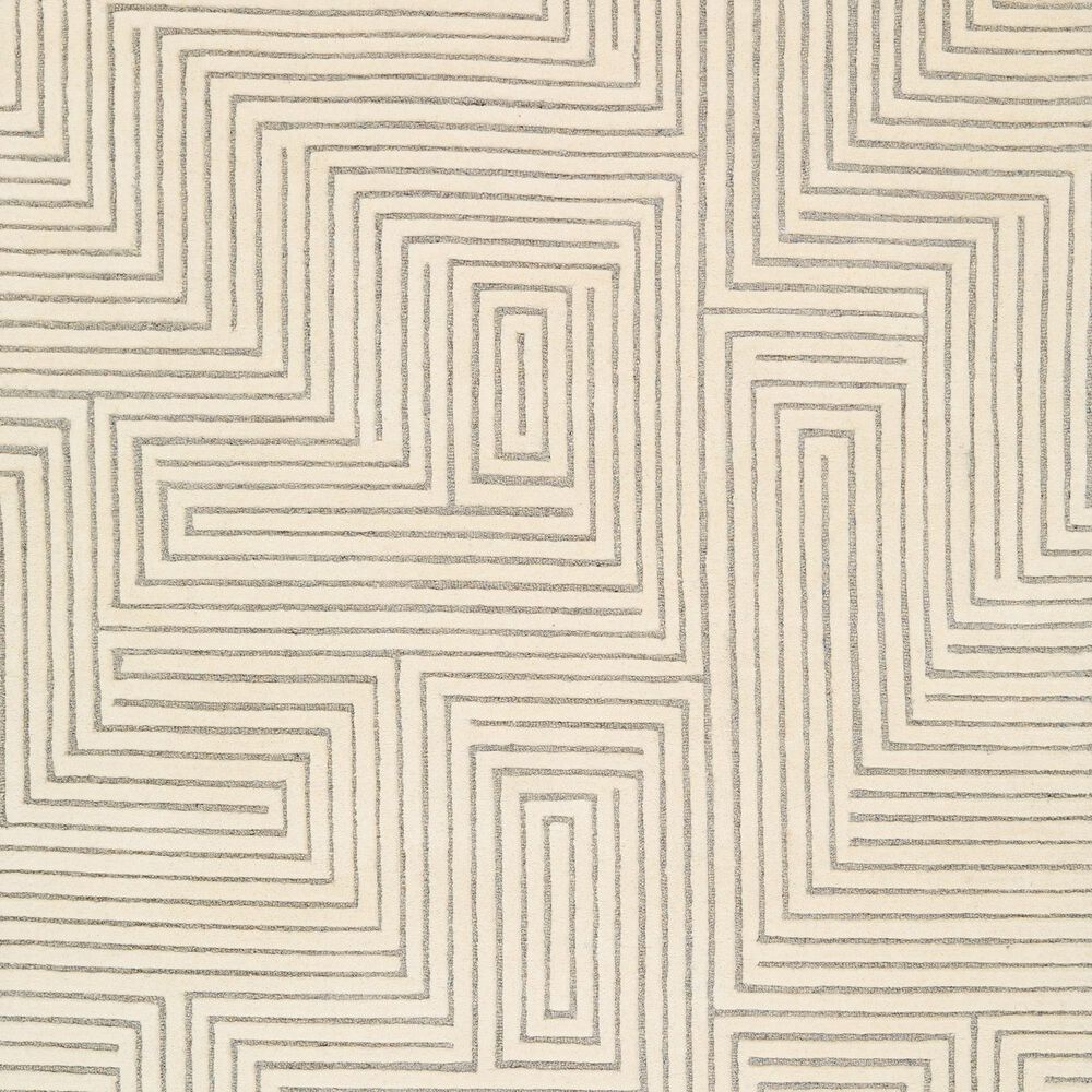 Surya Brook 2&#39; x 3&#39; Beige and Medium Gray Area Rug, , large