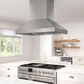 Zephyr Titan 48" Externally Vented Island Range Hood with TruHue in Stainless Steel, , large