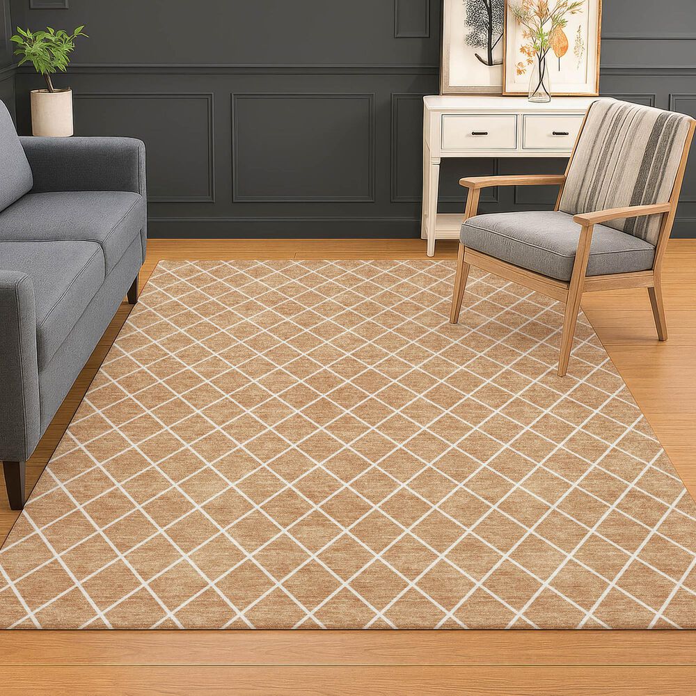 Dalyn Rug Company The Reserve TR15 Copper 3&#39; x 5&#39; Indoor/Outdoor Area Rug, , large