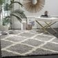 Safavieh Dallas Shag SGD257G-4 4" x 6" Grey/Ivory Area Rug, , large
