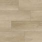 Fuzion Dynamix XL Grounded 9" x 60" Luxury Vinyl Plank, , large