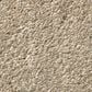 Shaw Well Grounded II 12" Carpet in Raw Lumber, , large