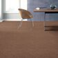 Anderson Tuftex Lavish Living Carpet in Sunbaked, , large
