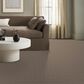 Anderson Tuftex Breeze Block Carpet in Tuscan, , large