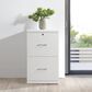 Valor Living Alpine 2-Drawer Vertical File Cabinet in White, , large