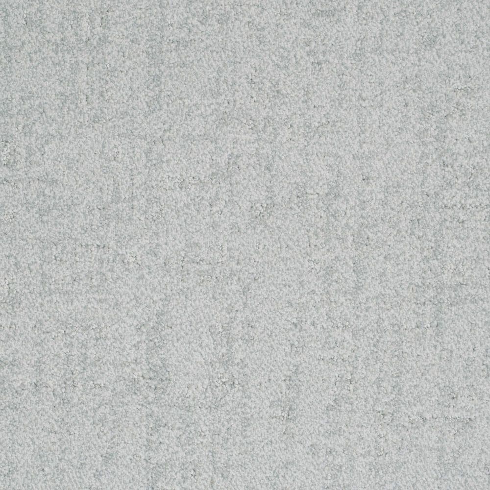 Dixie Home Genuine Carpet in Positive, , large