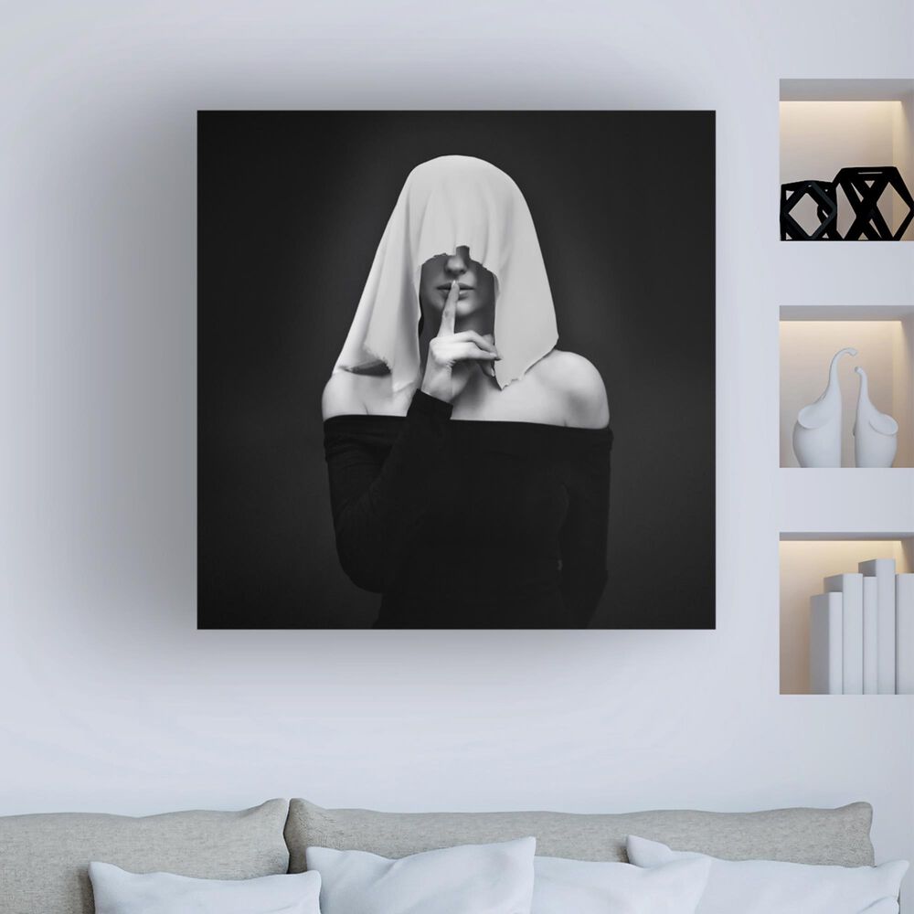 Timberlake &#39;Memento Mori&#39; 24&quot; x 24&quot; Canvas Art in Black/White/Grey, , large