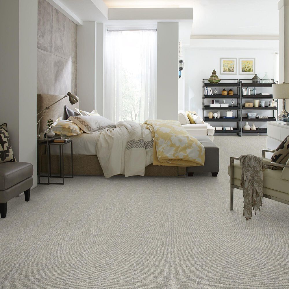 Anderson Tuftex Diego Carpet in Ice Formation, , large