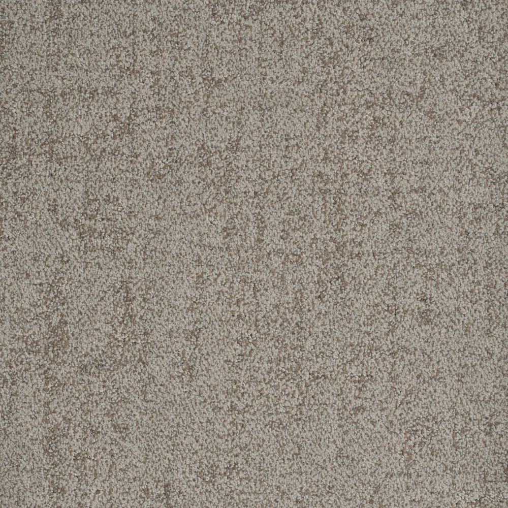 Dixie Home Genuine Carpet in Undeniable, , large