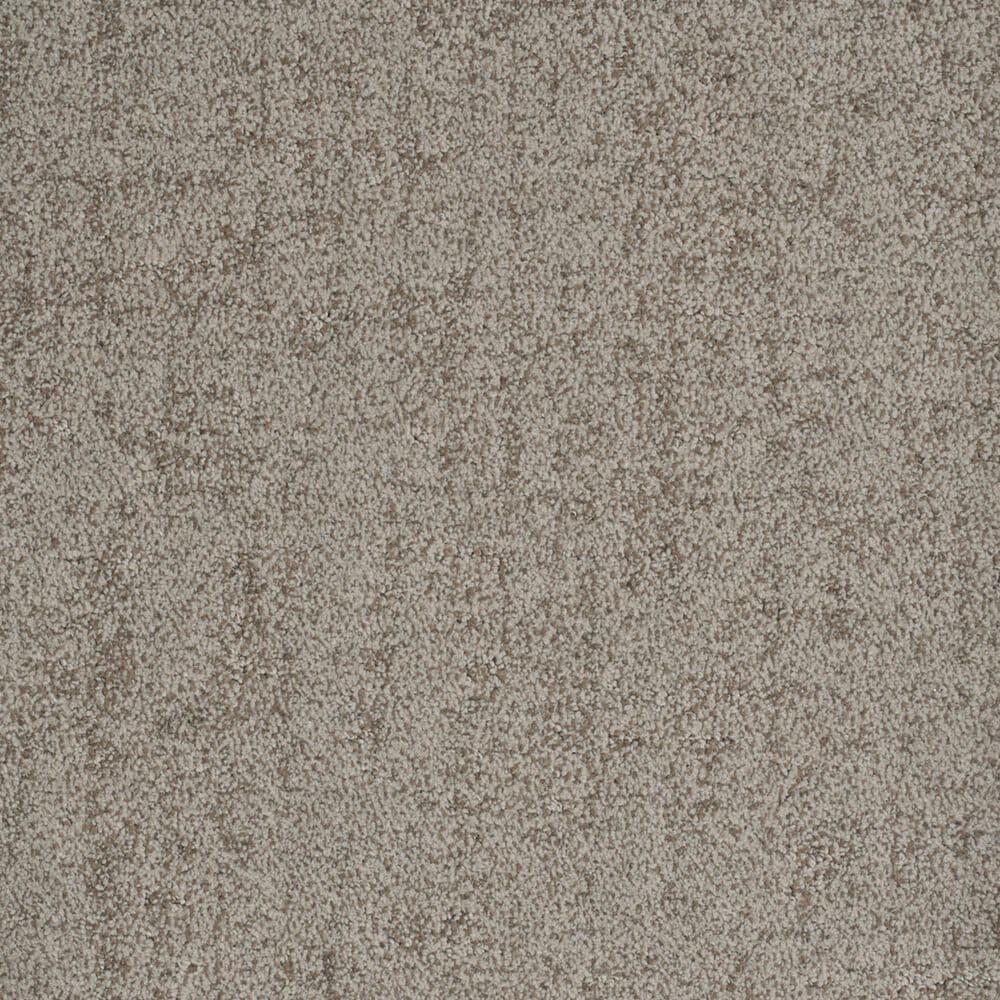 Dixie Home Genuine Carpet in Undeniable, , large