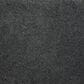Stanton Evolve Carpet in Charcoal, , large