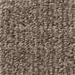 Anderson Tuftex Roamer Carpet in Mustang, , large
