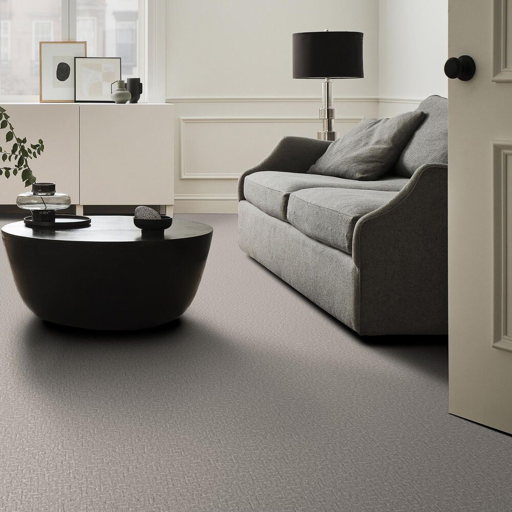 Anderson Tuftex Knickknack Carpet in Gray Owl, , large