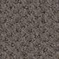 Shaw Austin Park Carpet in Midtown, , large