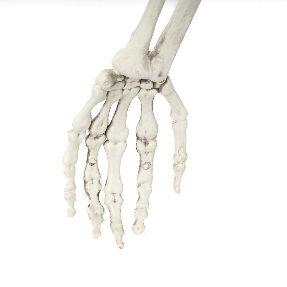 The Gerson Company Lighted Hanging Upside Down Skeleton in White, , large