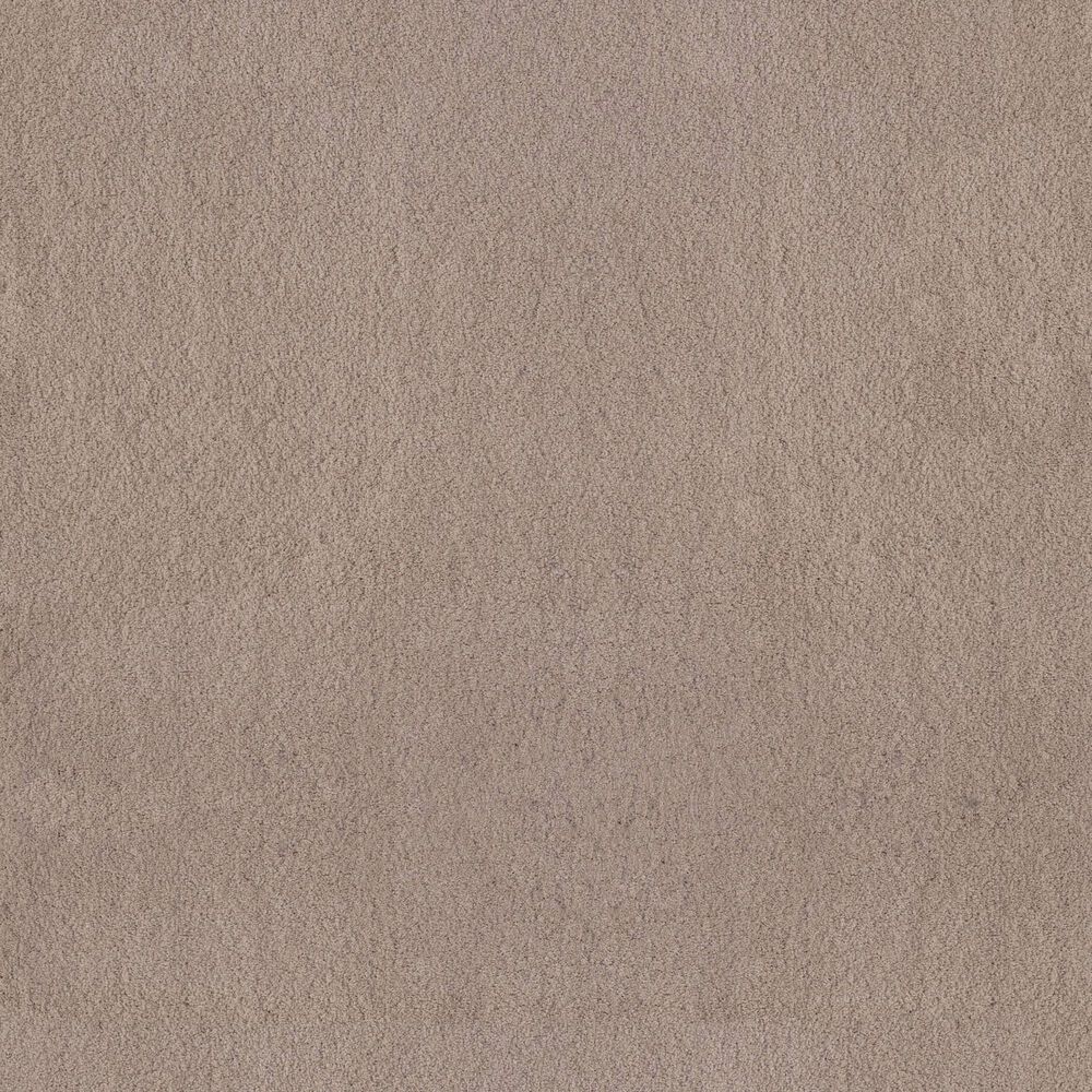 Anderson Tuftex Luxe Feel I Carpet in White Pine, , large