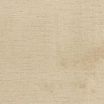 Dixie Home Courage Carpet in Premier, , large