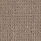 Dixie Home Country Home Carpet in Pinecone, , large