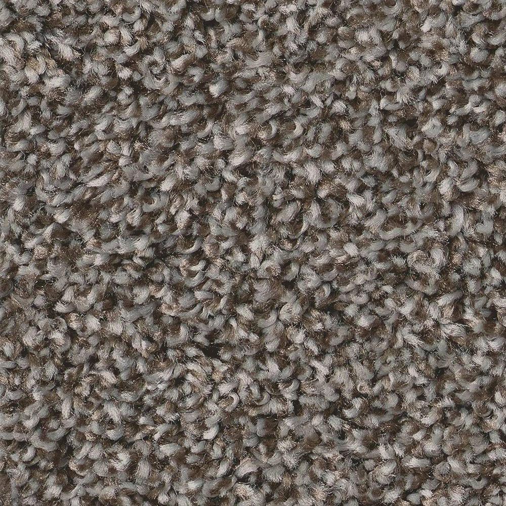Shaw Shake It Up (T) Carpet in Hammerhead, , large