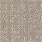 Shaw Vastly Carpet in Twine, , large