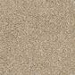 Phenix Crystal Cove Carpet in Sandy Shore, , large