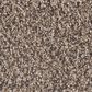 Phenix Visionary Carpet in Fanciful, , large