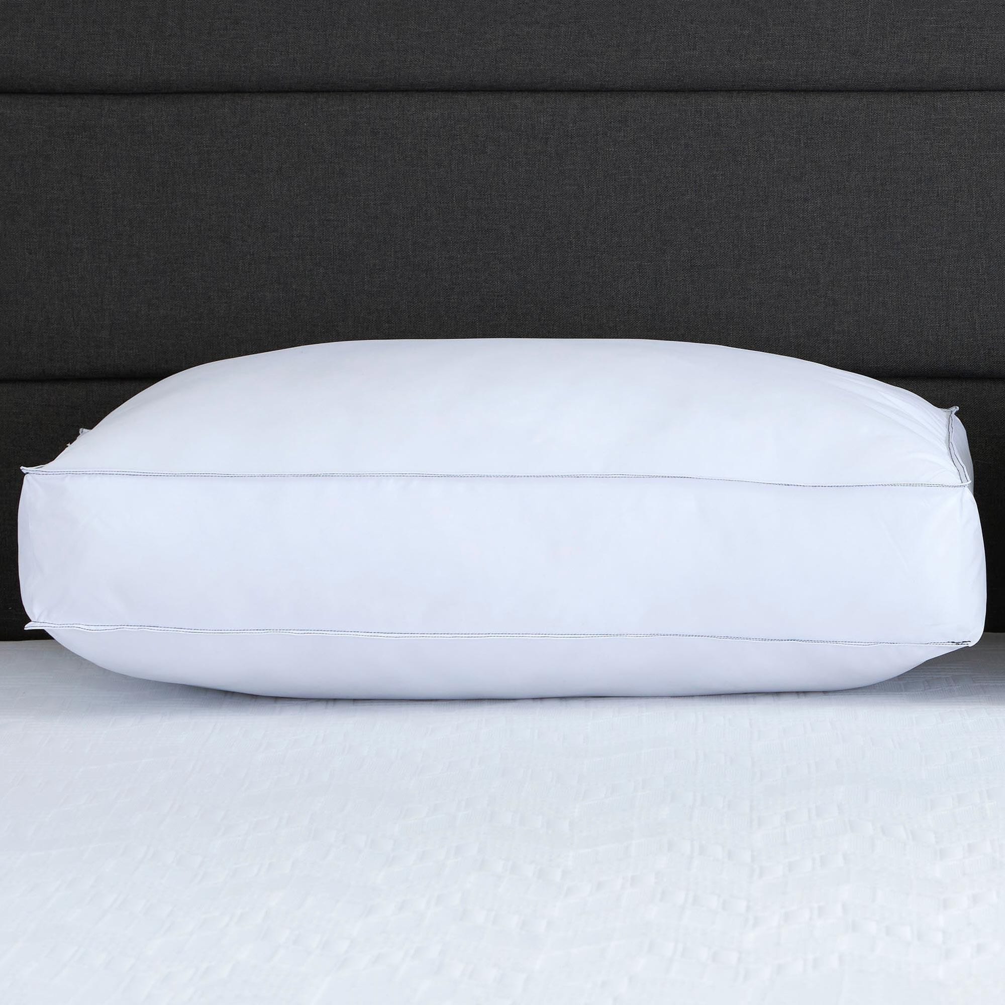 Isotonic Down Alternative Plush Side Sleeper Queen Pillow in White