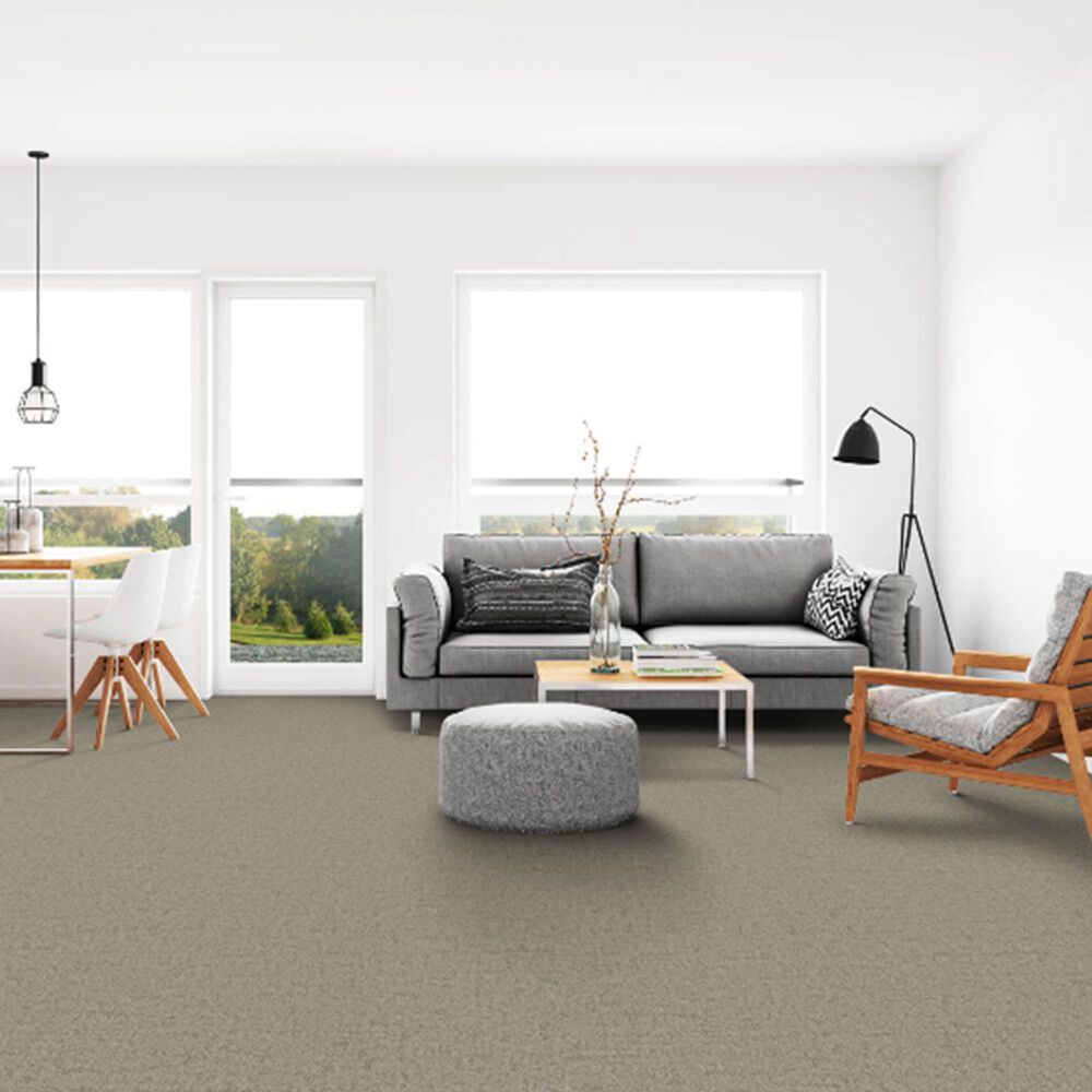 Dixie Home Genuine Carpet in Real, , large