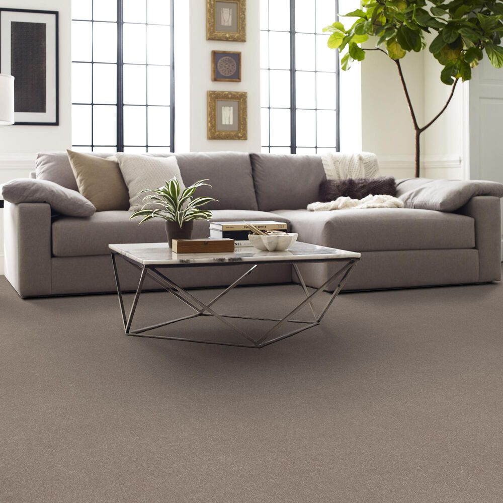 Shaw Easy Spirit I 12&#39; Carpet in Treebark, , large
