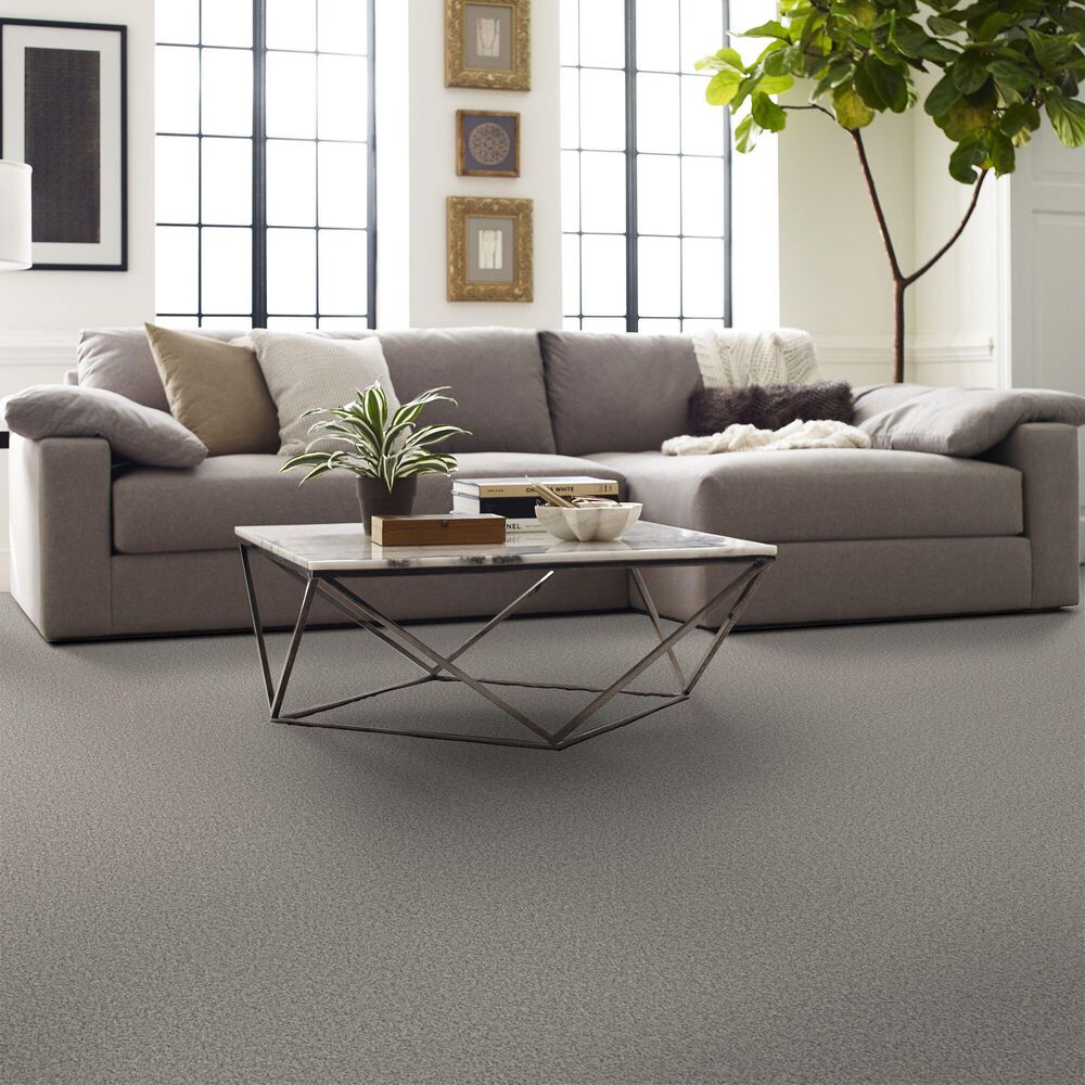 Shaw Artistic Fusion II Carpet in Frozen, , large